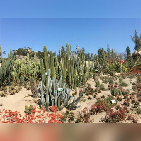 厦门植物园森林喷雾的相关长尾关键词有哪些