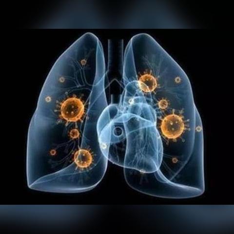 哈尔滨内蒙古自驾相关长尾关键词有哪些