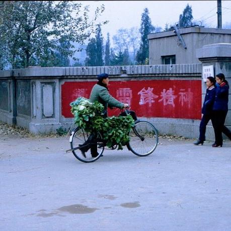 沈阳别墅小门相关长尾关键词有哪些