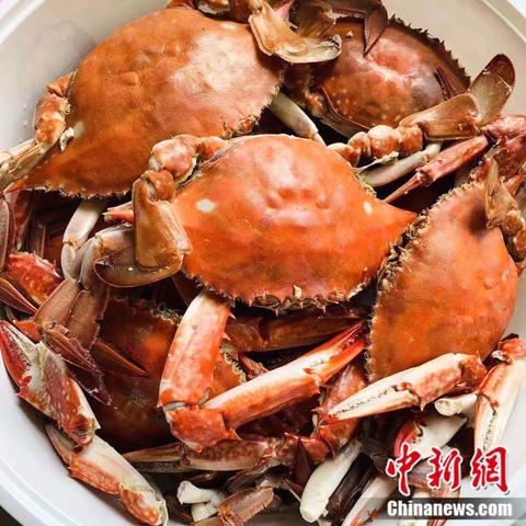 凉拌板筋的做法大全的长尾关键词有什么