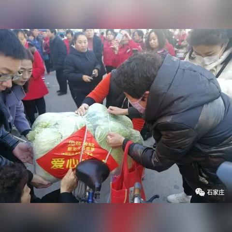 石家庄市低保去哪里申请