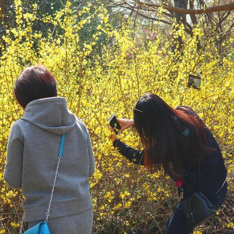合肥市北门属于什么区