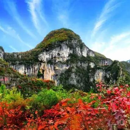 重庆红叶景点地图的长尾关键词有哪些