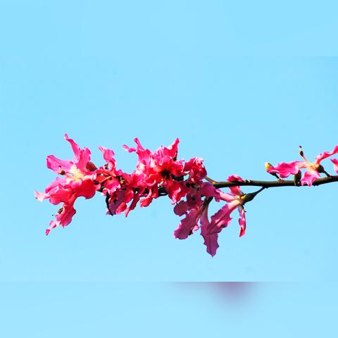 广州市小吃冬天卖什么