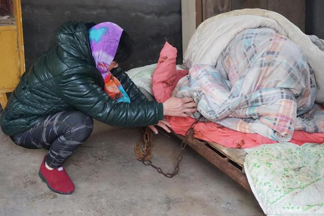 当代年轻人的学习现状是怎么样的