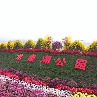 石家庄市最大的公园是哪个