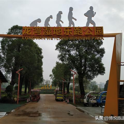 东莞市最新公园在哪里了
