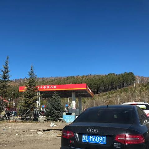 哈尔滨苑微相关长尾关键词有哪些