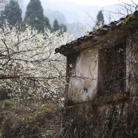 济南市的温州面馆有哪些