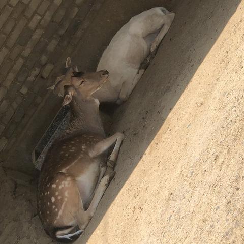 兰州市新动物园在哪个区