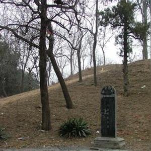 兰考县属于河南哪个区域