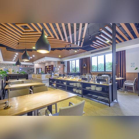 宁波市代表着什么花