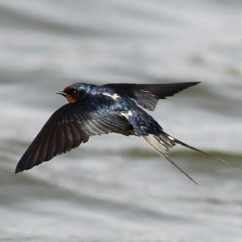 足球比赛脏吗的长尾关键词有哪些