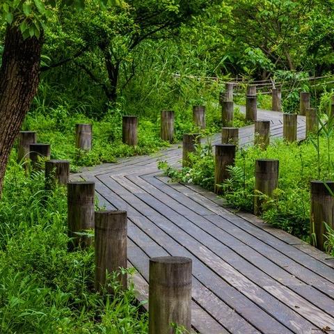 杭州市的主要景点是什么