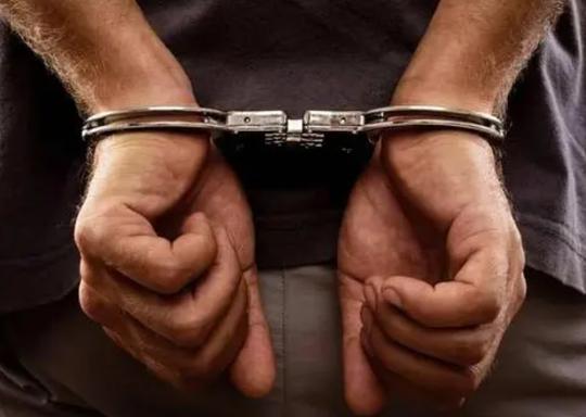 留学生丈夫生意失败抑郁而终，女子通过警察买凶杀人，河北凶杀案纪实