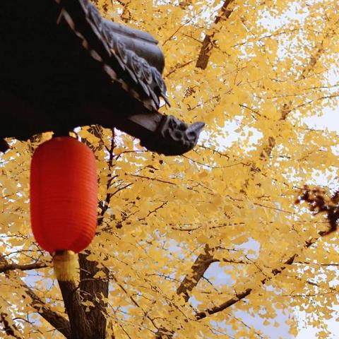 厦门市秋实小学怎么样