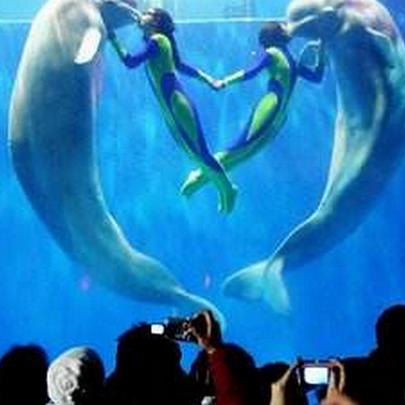 哈尔滨著名景区相关长尾关键词有哪些