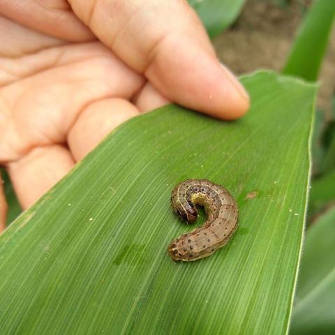福建粮食城怎么样