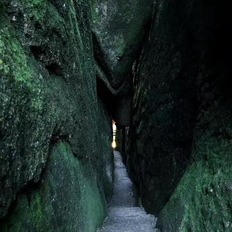 福建省最高的山？