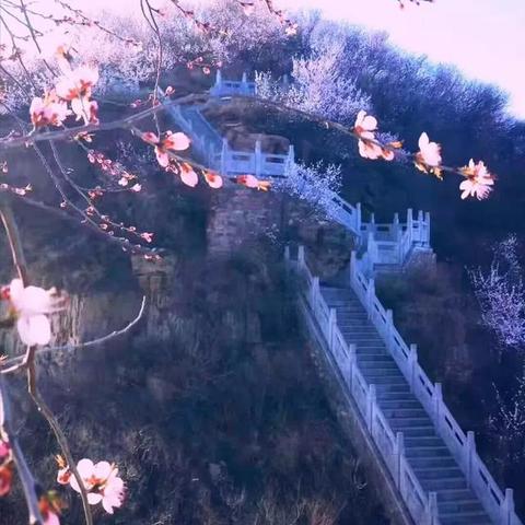 重庆骄阳天际房价的长尾关键词有哪些