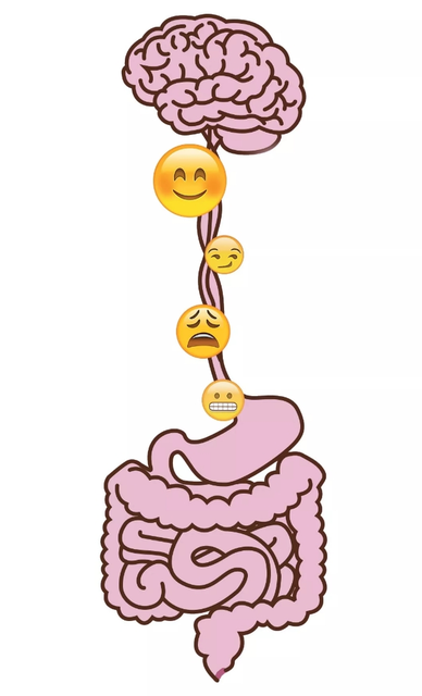 吃太多反而容易饿是怎么回事 吃太多反而容易饿是怎么回事