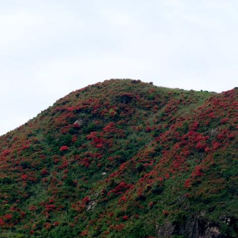 桂林越城岭游记图片的相关长尾关键词有哪些