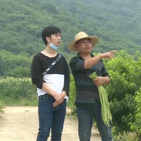 温州市跟黄冈市哪个大