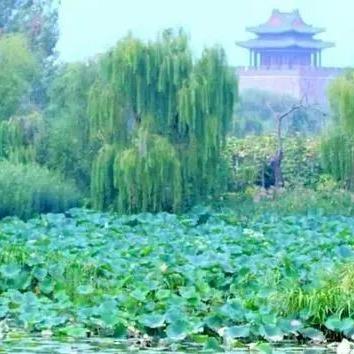 聊城市高新区阳明小学怎么样？