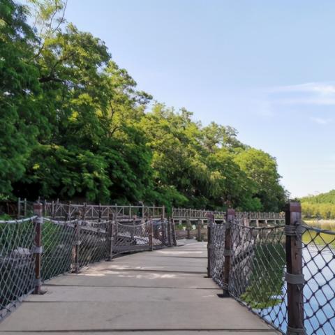 沈阳中考168相关长尾关键词有哪些