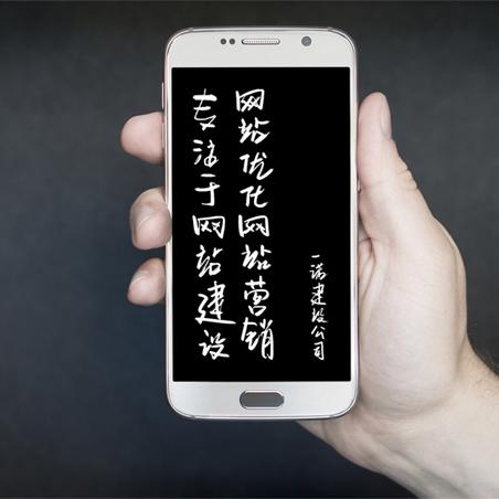 传统建站与saas哪个适合seo-seo建站需