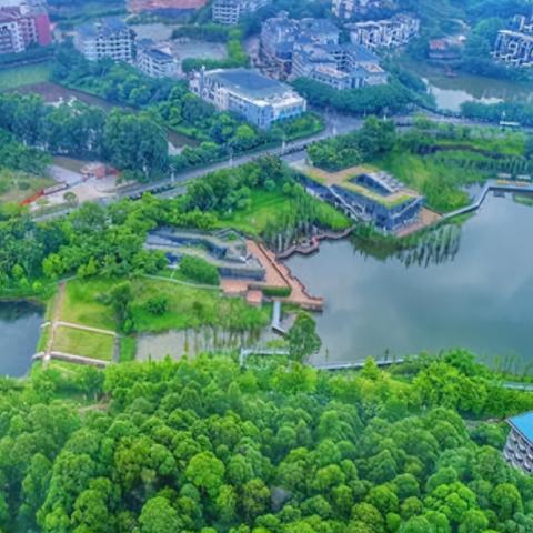 搜佛山市口腔医院怎么样