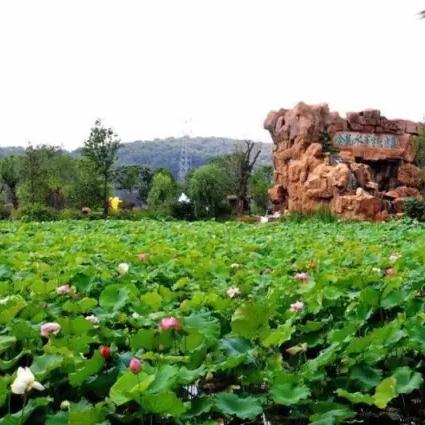 厦门瑞忆的相关长尾关键词有哪些