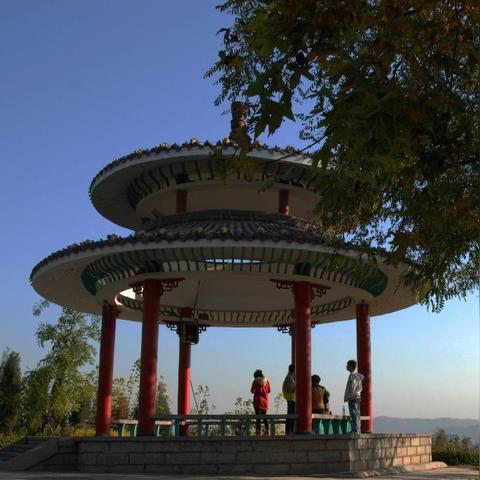 成都市民云健康码怎么用