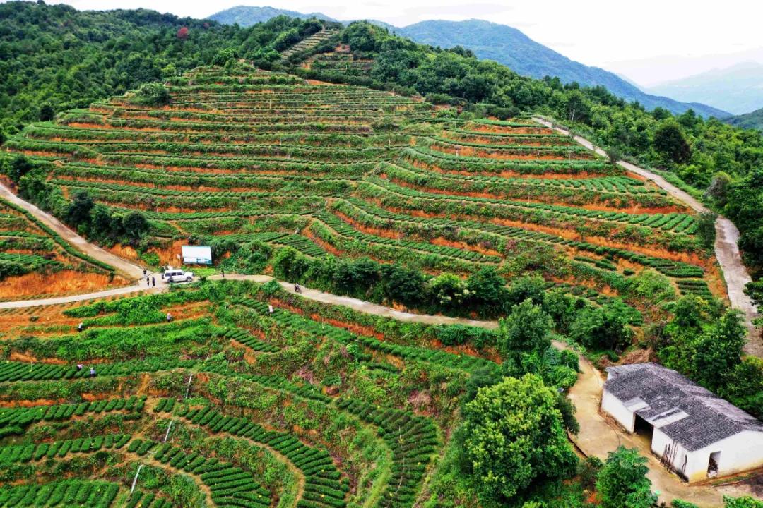 为什么喜欢南安美食（厦门为什么叫厦门）