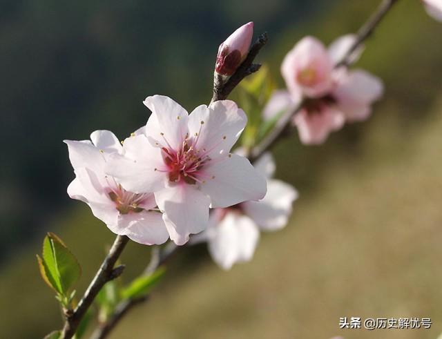 木兰花宋祁,豪放的与酒有关的诗句?