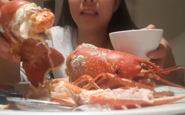 吃播的胃为什么那么大