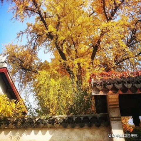 无锡市秋景哪里好耍