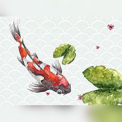 西安市有什么鱼类图片