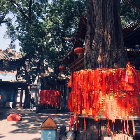 甘肃兰州市的道观在哪里