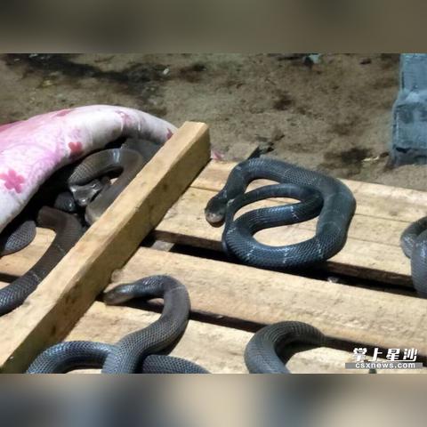 长沙江背乌川湖相关长尾关键词有哪些