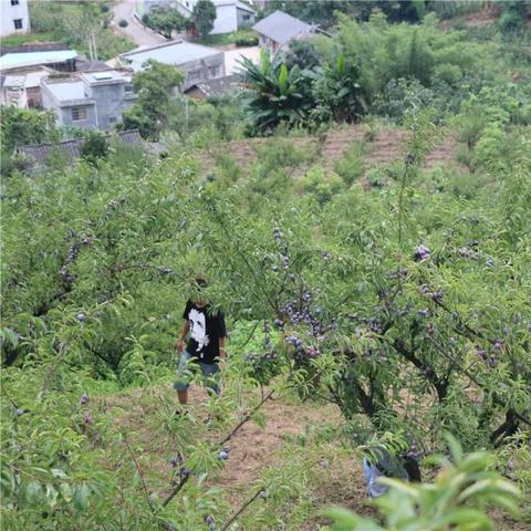 筠连23号天气预报的长尾关键词有什么