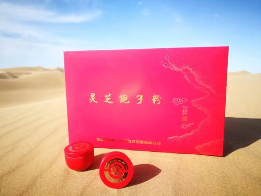 乌海品牌10|这家企业在沙漠里种灵芝