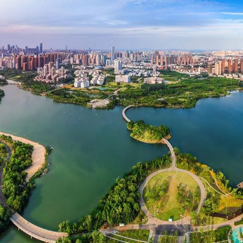 合肥市公园事件始末是什么