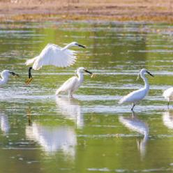 济南玩水民宿推荐相关长尾关键词有哪些