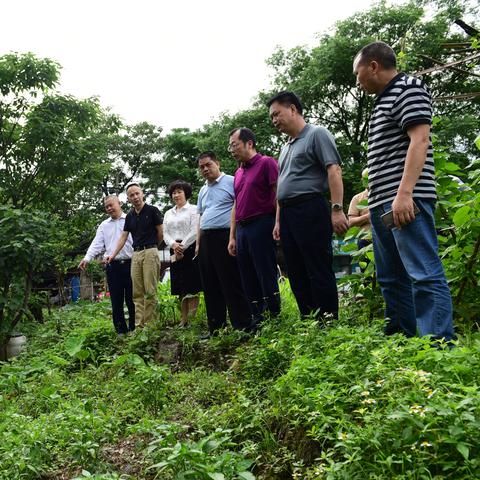 桂林桃花江步道公交车哪站到？