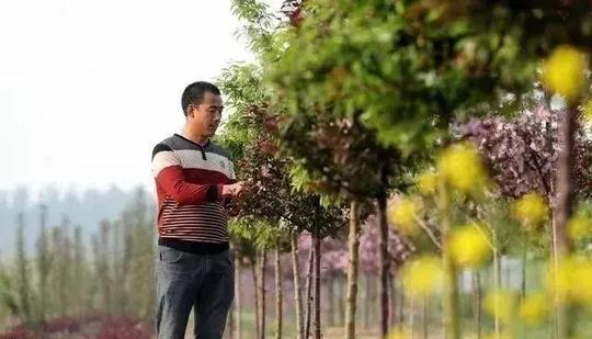 农村以后谁种地？担心是没用的，国家在大力扶持这些人接手农业！