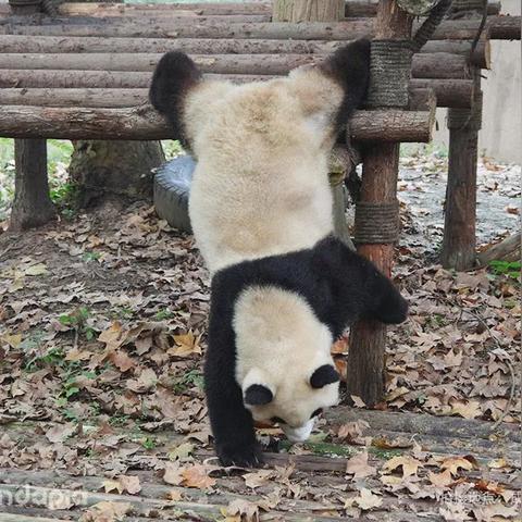 广州市人民政府工资多少