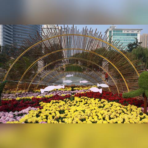 石家庄市竹子种植基地的长尾关键词有什么