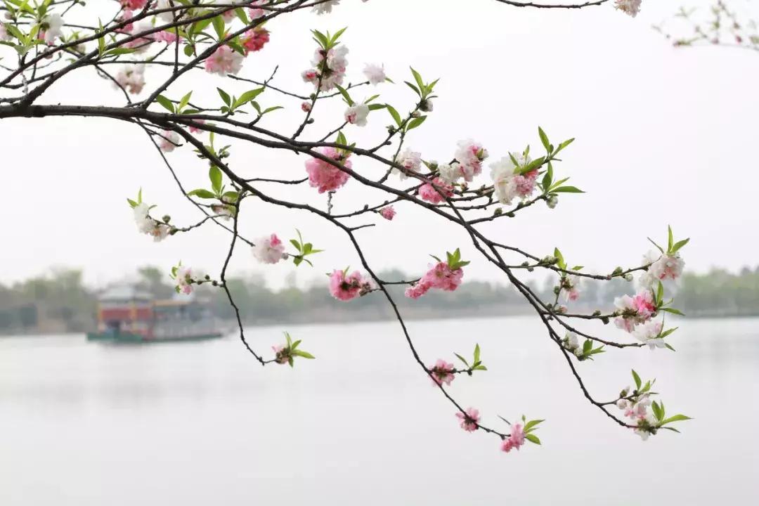 春心动矣是什么意思呀古代人称春有哪几个阶段