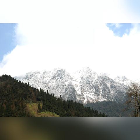 成都市哪些区算近郊